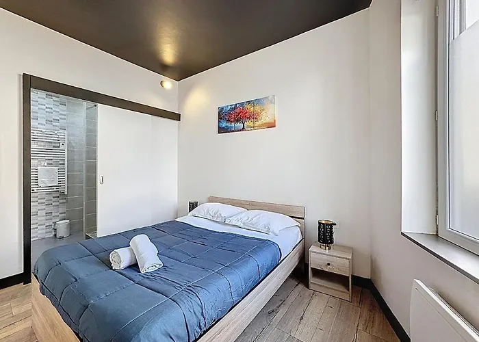 Lumineux En Rez-de-chaussee Vers Chu *